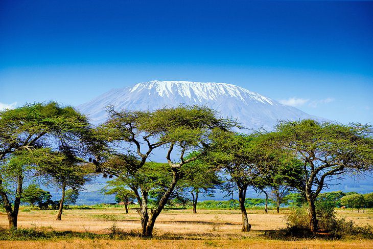 16 Top-Rated Tourist Attractions in Kenya