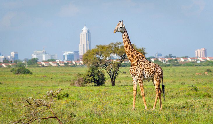 16 Top-Rated Tourist Attractions in Kenya