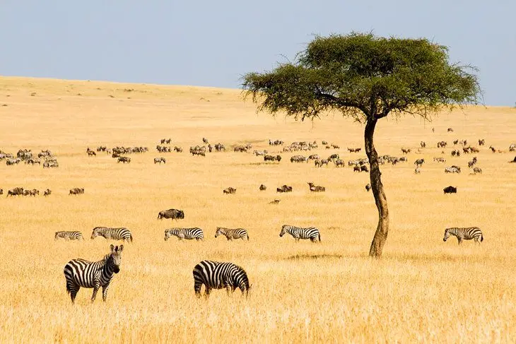 16 Top-Rated Tourist Attractions in Kenya