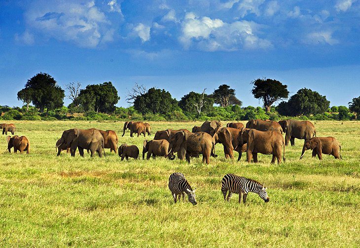 16 Top-Rated Tourist Attractions in Kenya