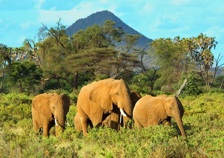 16 Top-Rated Tourist Attractions in Kenya