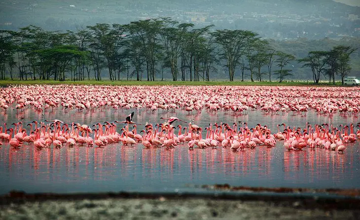 16 Top-Rated Tourist Attractions in Kenya