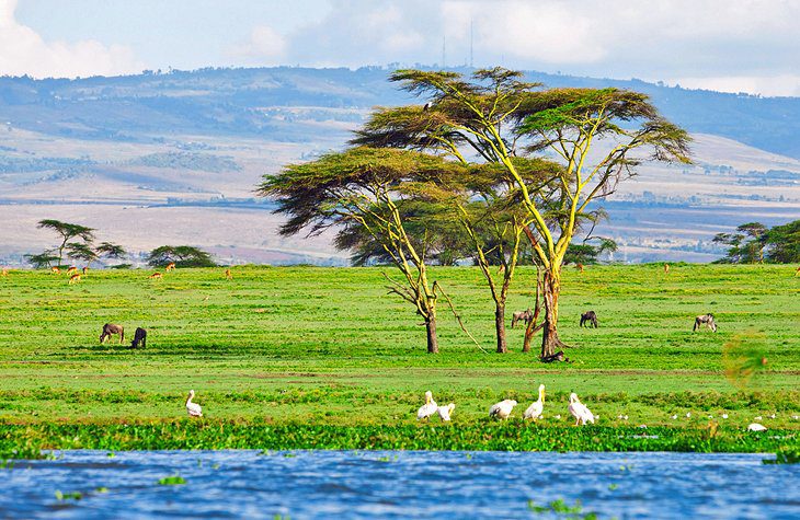 16 Top-Rated Tourist Attractions in Kenya