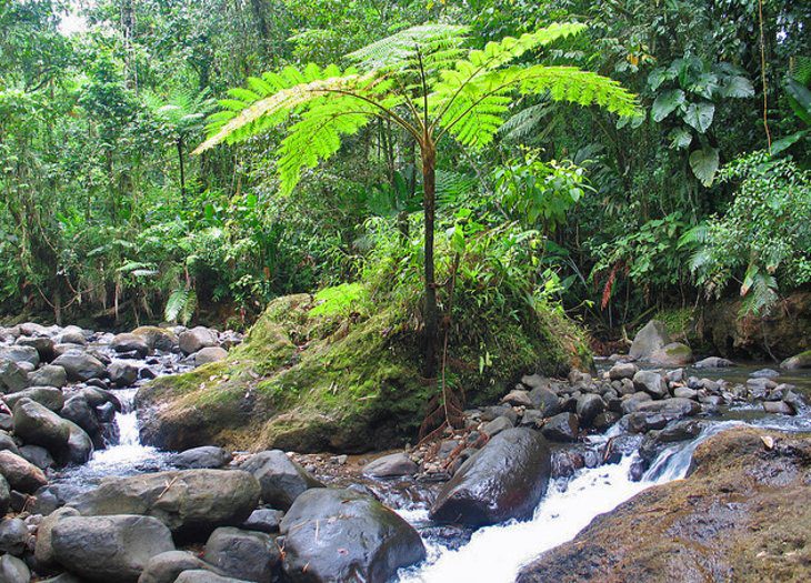 16 Top-Rated Tourist Attractions in Martinique