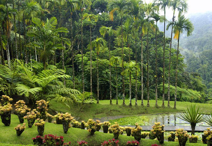 16 Top-Rated Tourist Attractions in Martinique