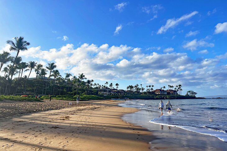 16 Top-Rated Tourist Attractions in Maui