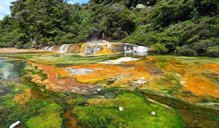 16 Top-Rated Tourist Attractions in Rotorua