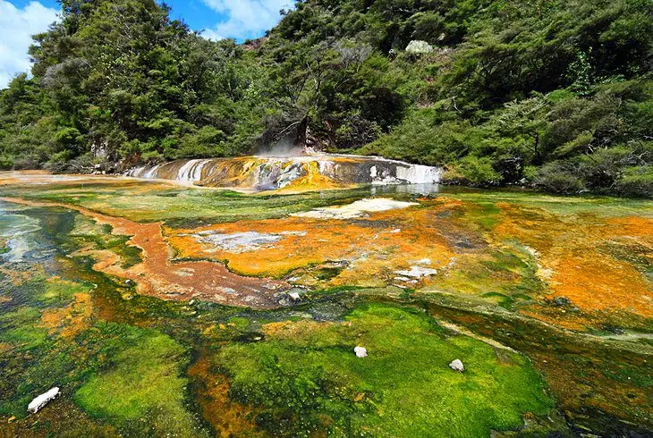 16 Top-Rated Tourist Attractions in Rotorua