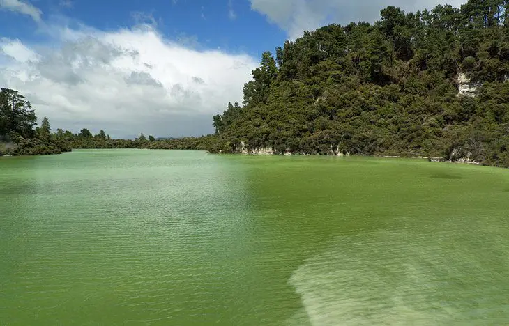 16 Top-Rated Tourist Attractions in Rotorua