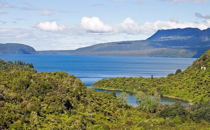 16 Top-Rated Tourist Attractions in Rotorua