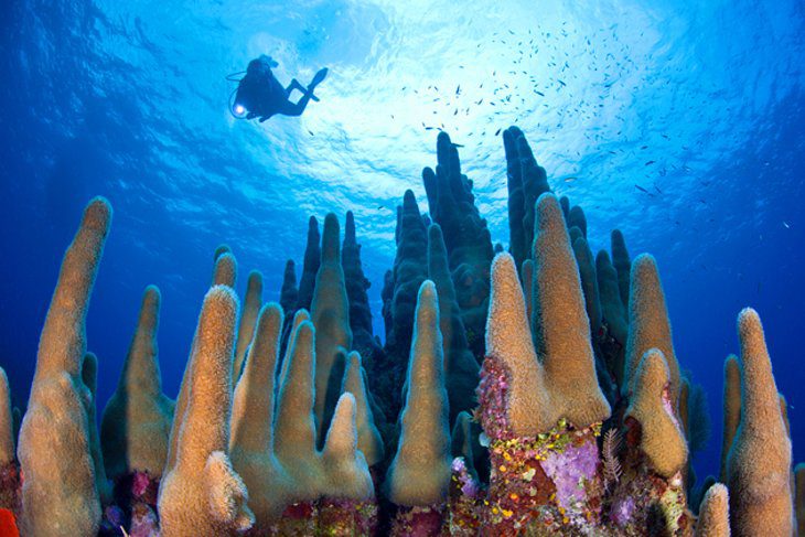 16 Top-Rated Tourist Attractions in the Cayman Islands