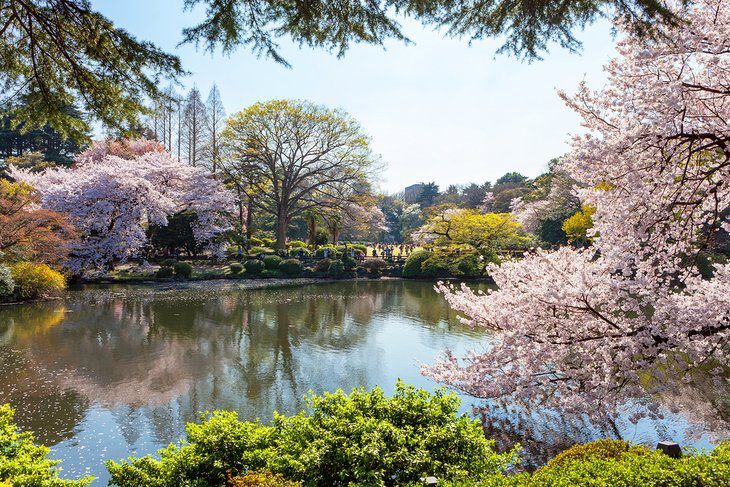 16 Top-Rated Tourist Attractions in Tokyo