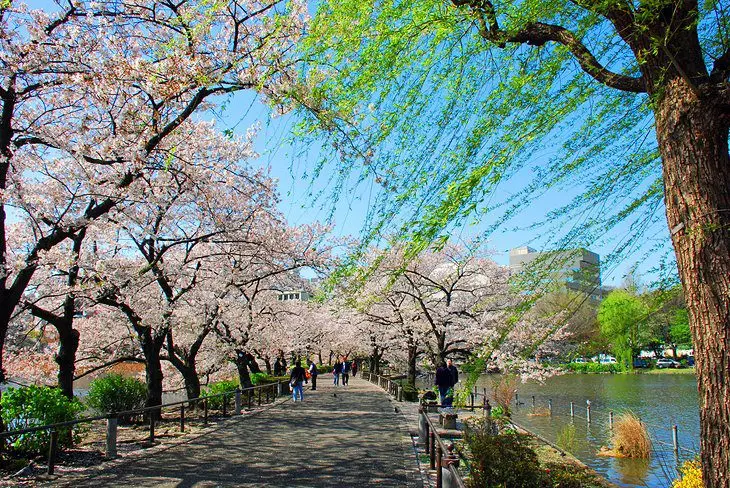 16 Top-Rated Tourist Attractions in Tokyo