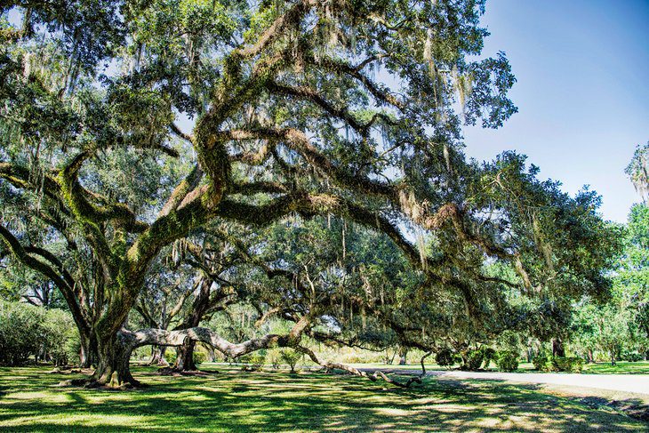 16 Top-Rated Weekend Getaways in Louisiana