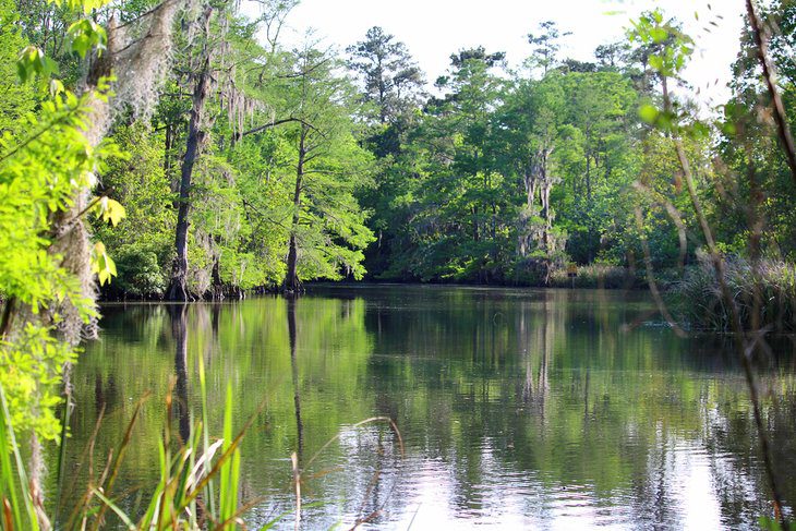 16 Top-Rated Weekend Getaways in Louisiana