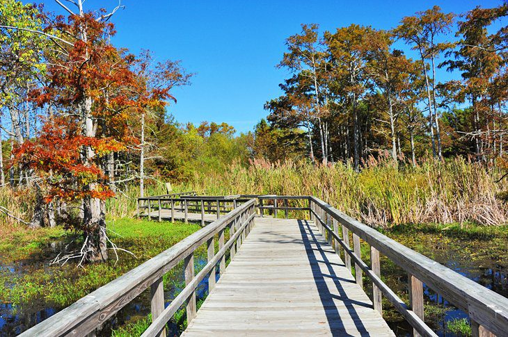 16 Top-Rated Weekend Getaways in Louisiana