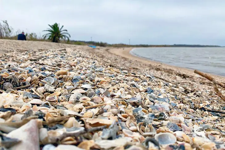 17 Best Beaches in Galveston, TX