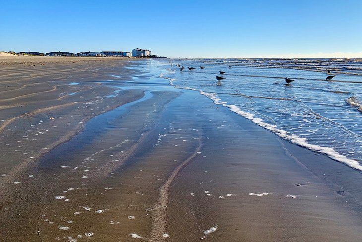 17 Best Beaches in Galveston, TX