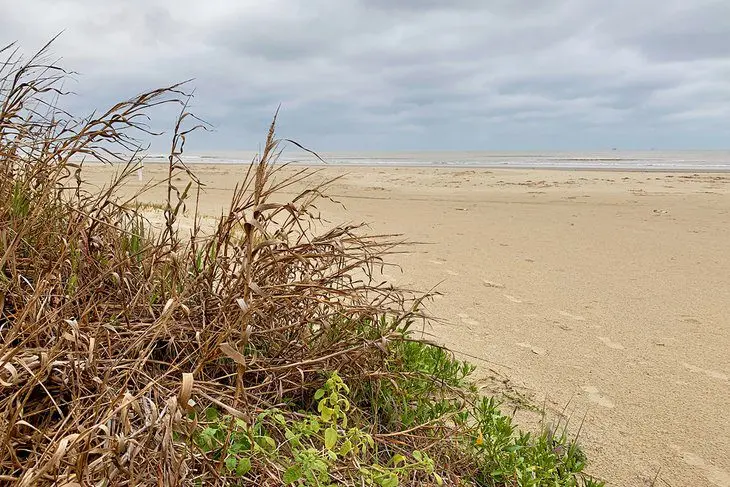 17 Best Beaches in Galveston, TX