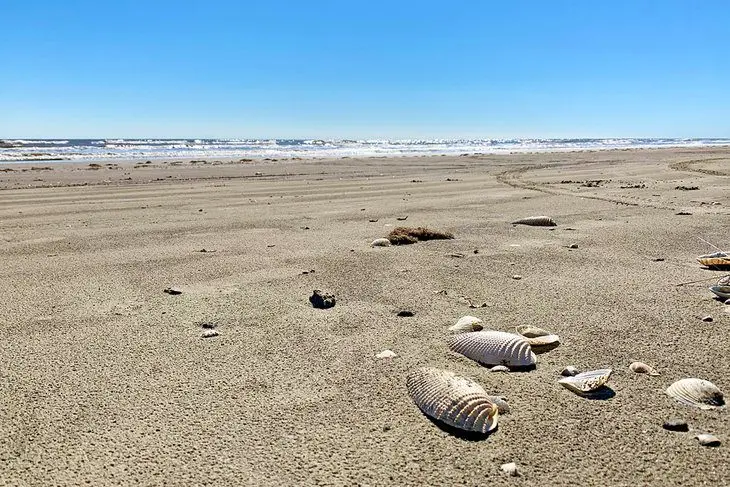 17 Best Beaches in Galveston, TX