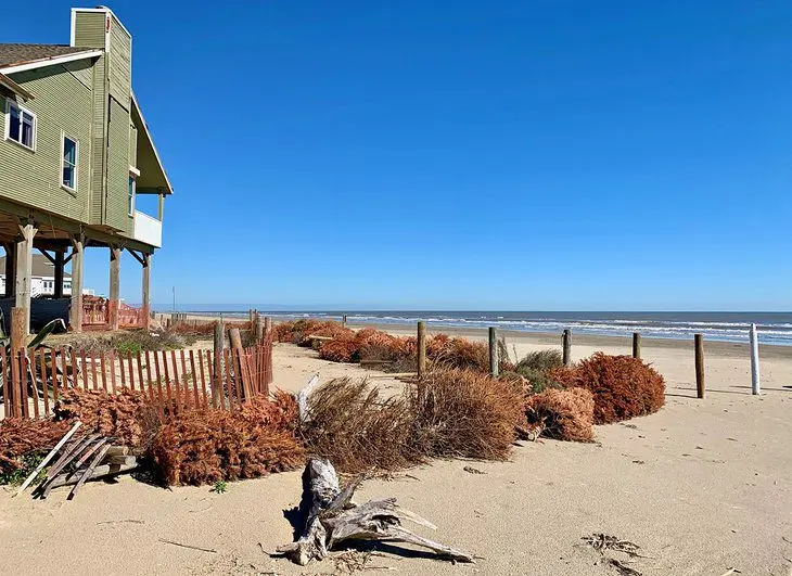 17 Best Beaches in Galveston, TX