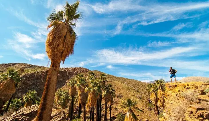 17 Best Hikes in Palm Springs, CA