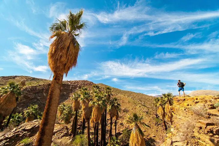 17 Best Hikes in Palm Springs, CA