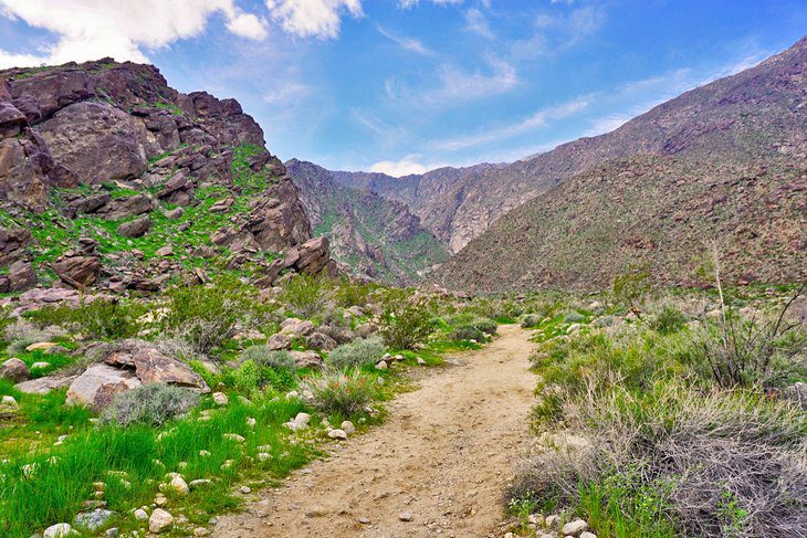 17 Best Hikes in Palm Springs, CA