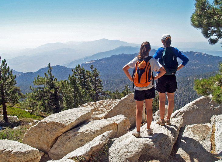 17 Best Hikes in Palm Springs, CA