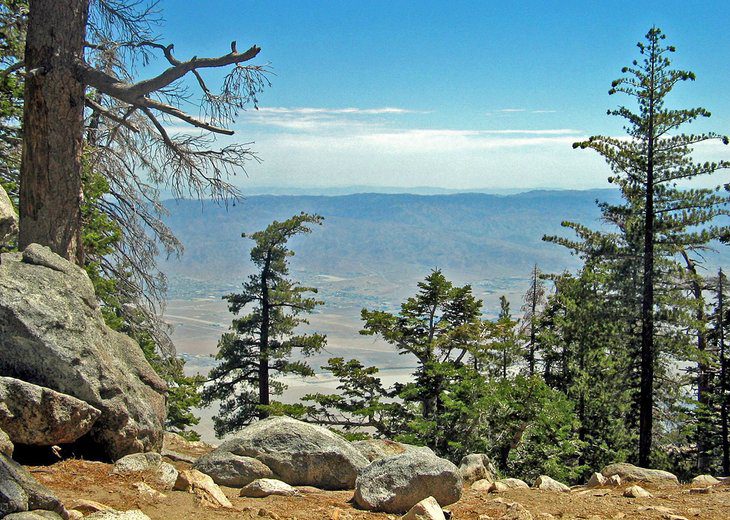 17 Best Hikes in Palm Springs, CA