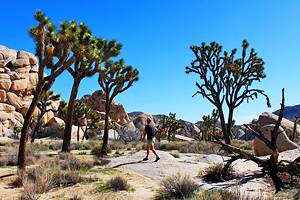 17 Best Hikes in Palm Springs, CA