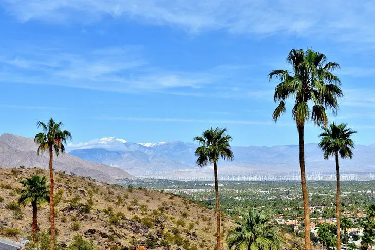 17 Best Hikes in Palm Springs, CA