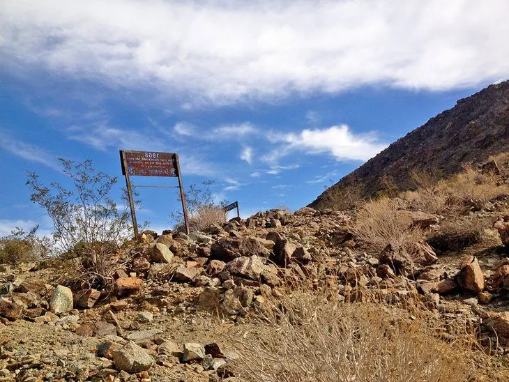 17 Best Hikes in Palm Springs, CA