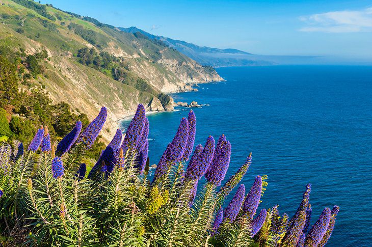 17 Best Places to Visit in California