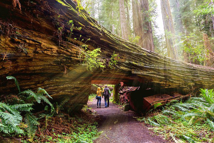 17 Best Places to Visit in California