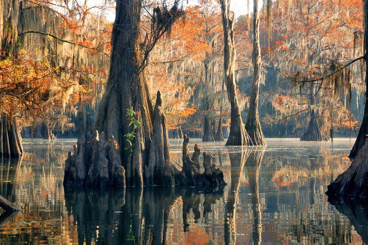 17 Best State Parks in Texas