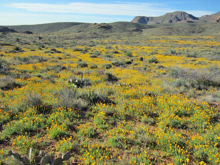 17 Best State Parks in Texas