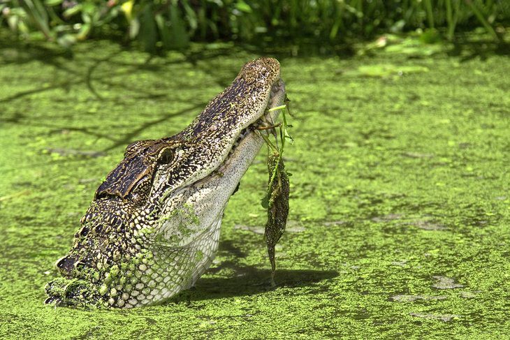 17 Best State Parks in Texas