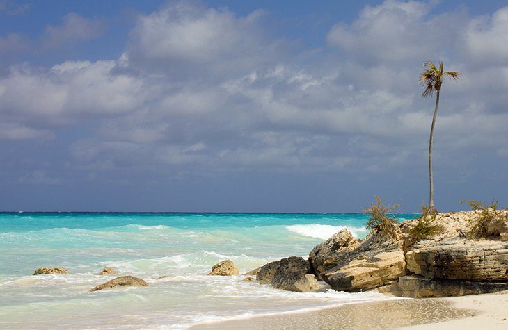 17 Top-Rated Attractions in the Turks and Caicos Islands