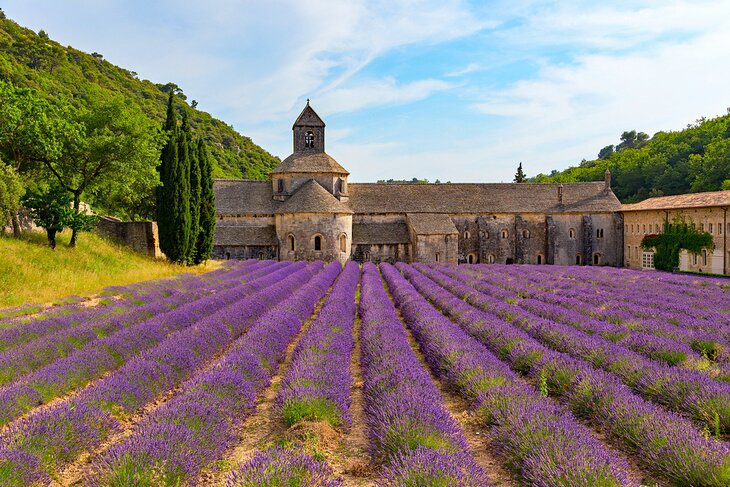 17 Top-Rated Attractions of Parc Naturel Régional du Luberon, Provence