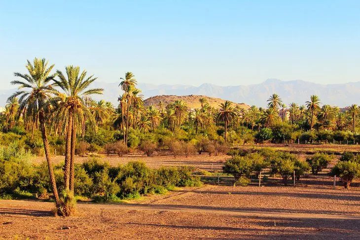 17 Top-Rated Attractions & Places to Visit in Marrakesh