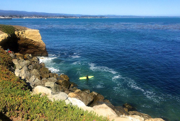 17 Top-Rated Attractions & Places to Visit in Santa Cruz