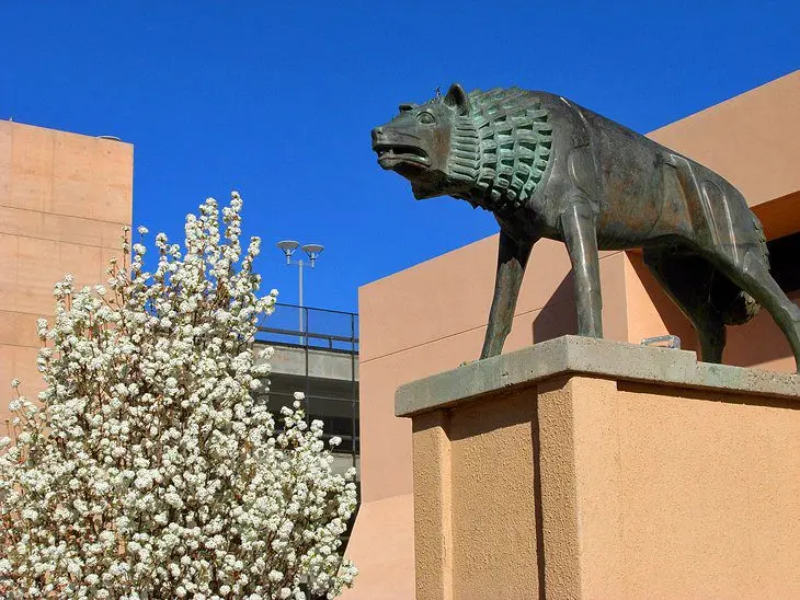 17 Top-Rated Attractions & Things to Do in Albuquerque