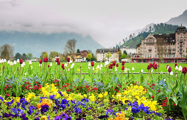 17 Top-Rated Attractions & Things to Do in Interlaken