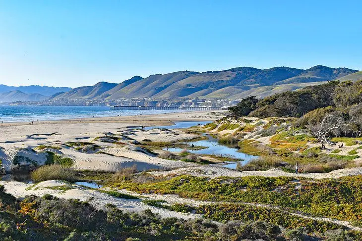 17 Top-Rated Attractions & Things to Do in Pismo Beach, CA