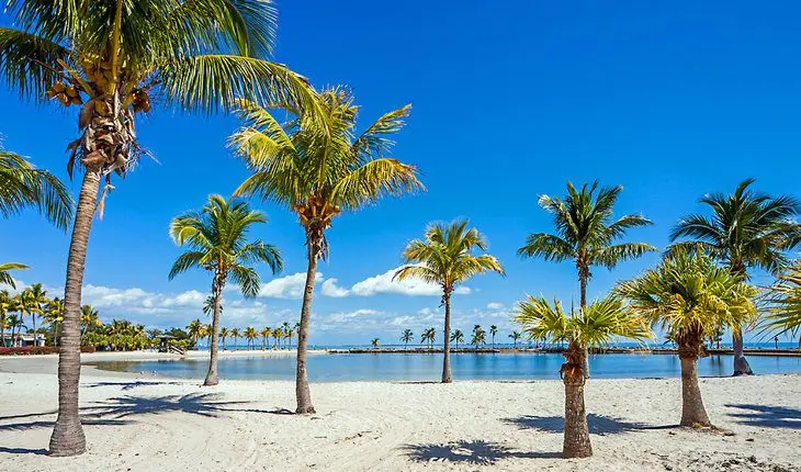 17 Top-Rated Beaches in Miami, FL