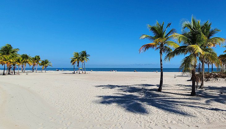 17 Top-Rated Beaches in Miami, FL