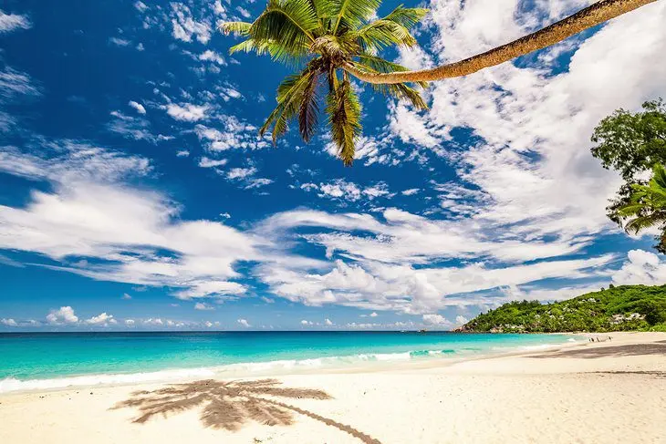 17 Top-Rated Beaches in the Seychelles