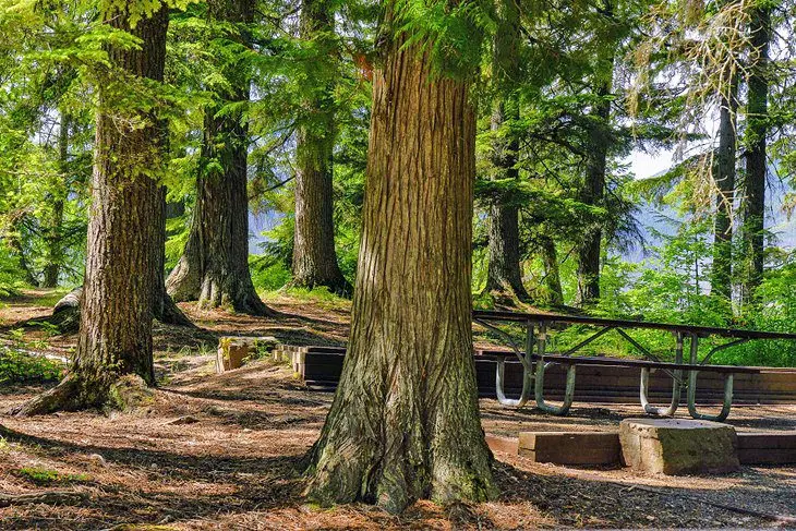 17 Top-Rated Campgrounds in Glacier National Park, MT