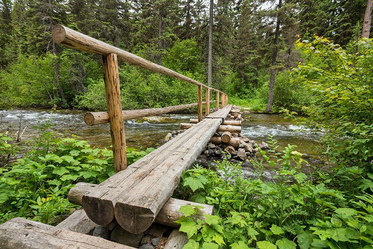 17 Top-Rated Campgrounds in Glacier National Park, MT